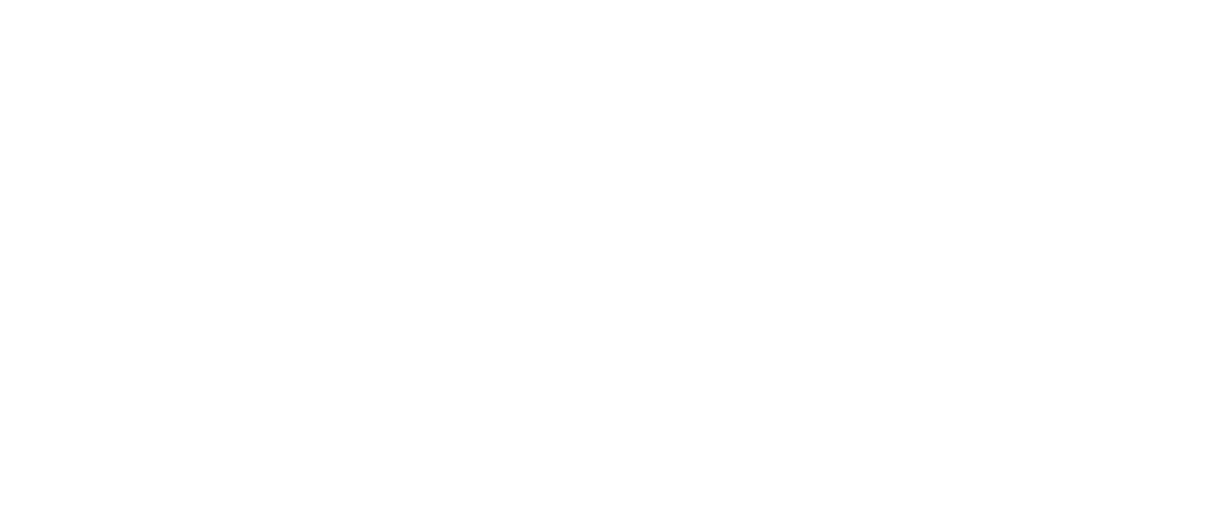 Logo Narvik